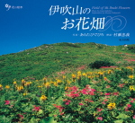 伊吹山のお花畑